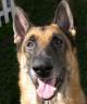 My dogs 1, photo by Debbie Miller, Monroe United  States,  love a pet