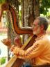 Sound of nature, photo by Daniel Jaeger Vendruscolo, Pato Branco, Brazil, sleeping music
