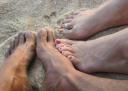 834694_feet_in_the_sand.jpg