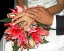 Wedding rings. photo by Dhiego Andrade, Pirapora, Brazil